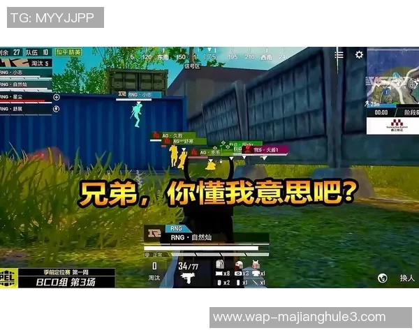 和平精英战术解析聚焦RNG团队协作与配合策略的深度剖析